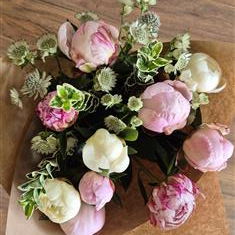 Perfect Peonies