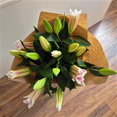 Oriental Lilies
